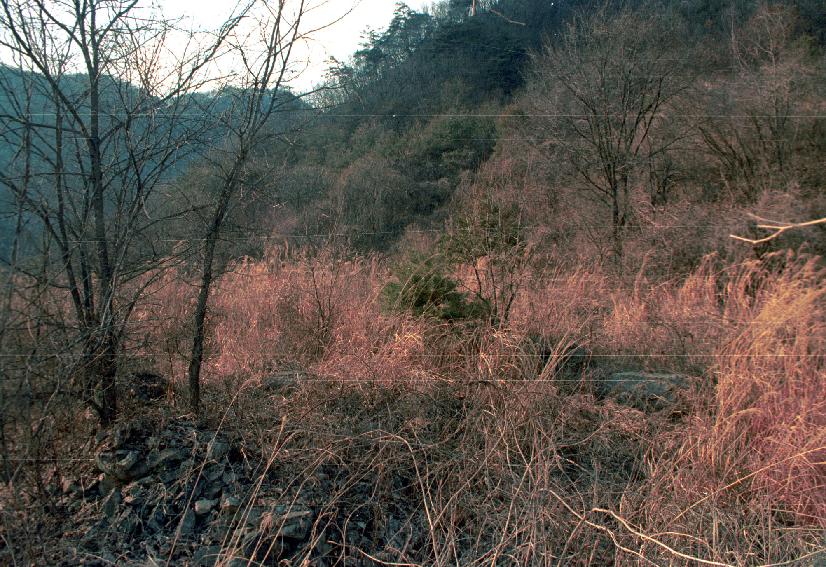 계성사지석등조사 사진