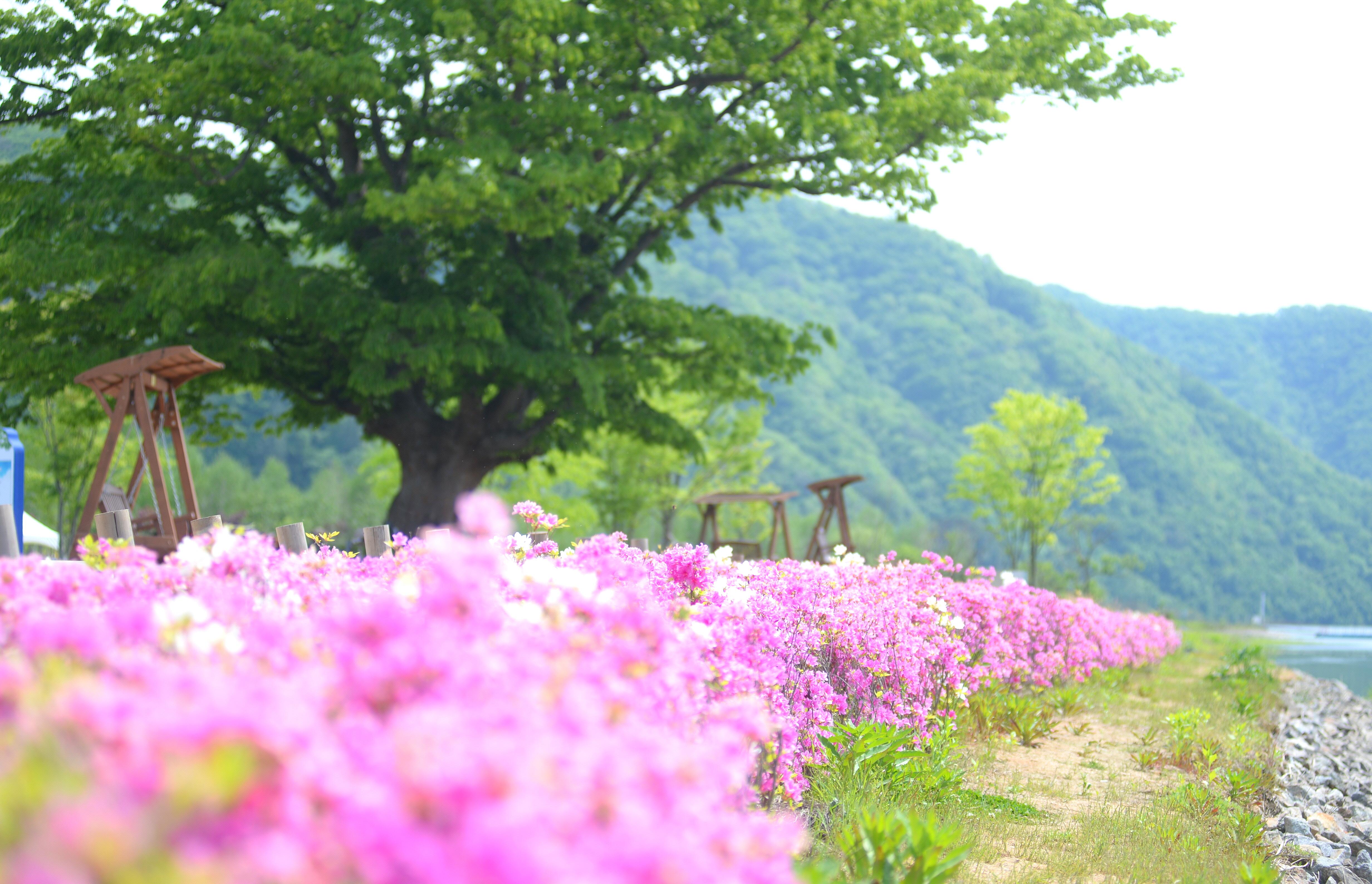 2023 산천어파크골프장 의 사진