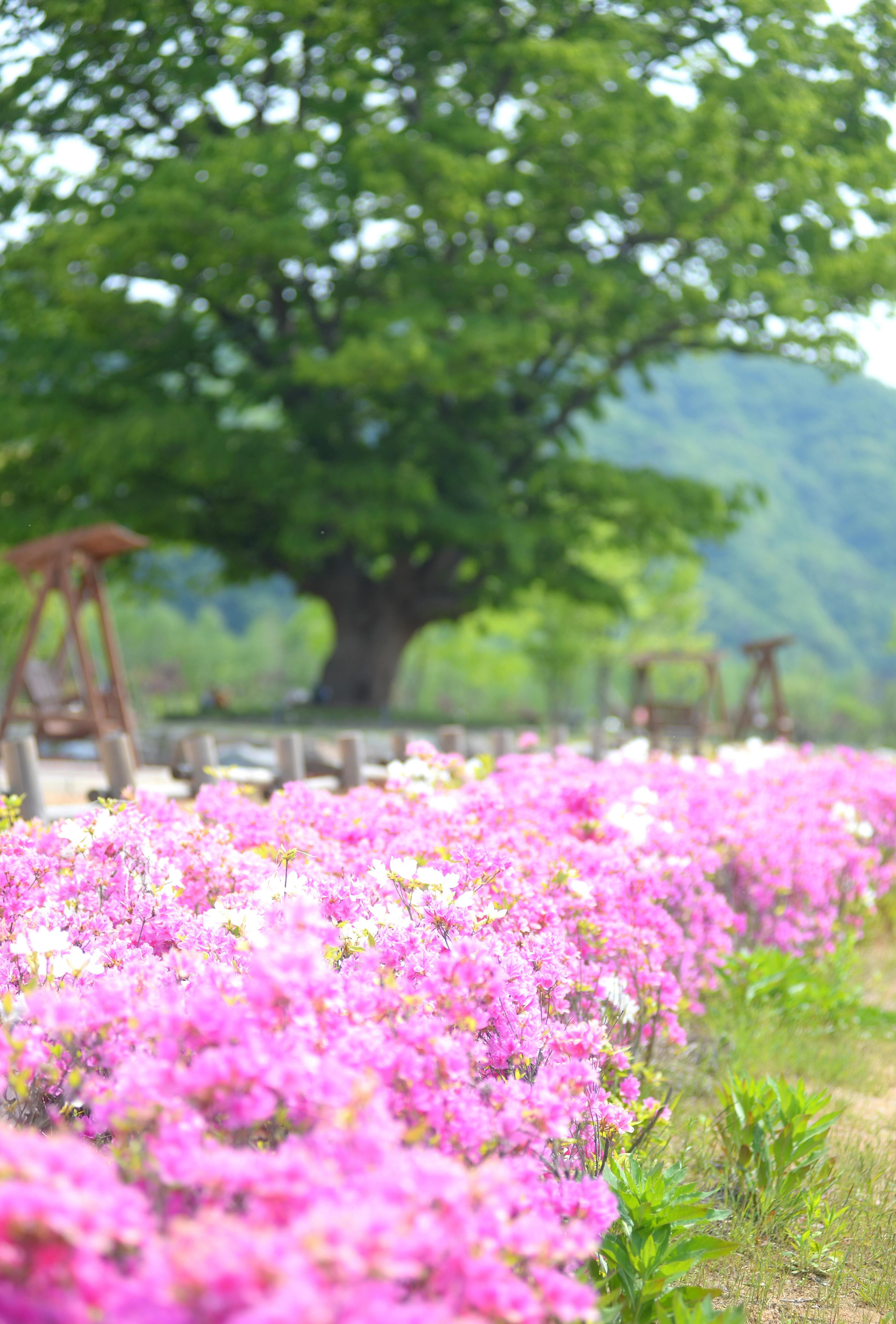 2023 산천어파크골프장 의 사진