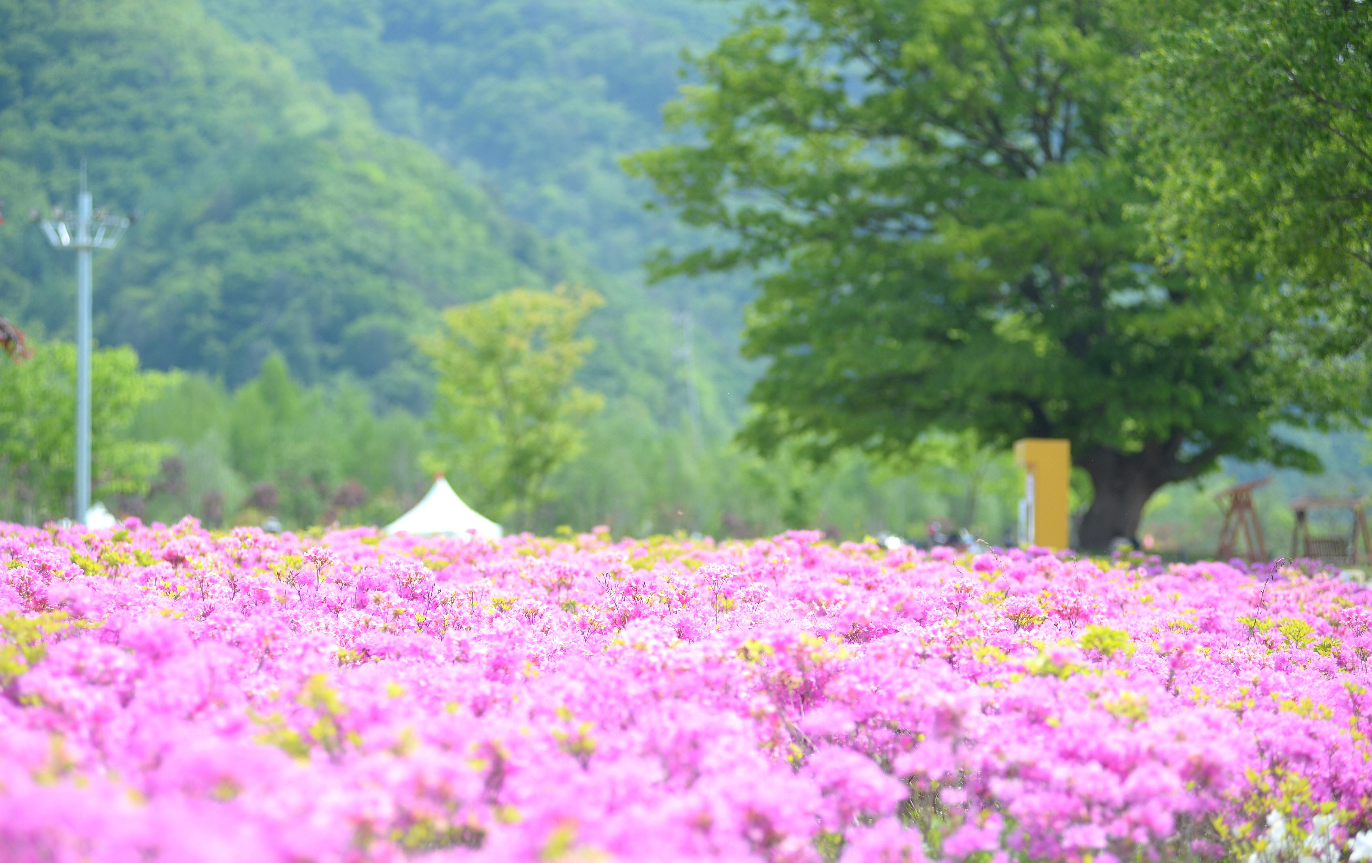 2023 산천어파크골프장 의 사진