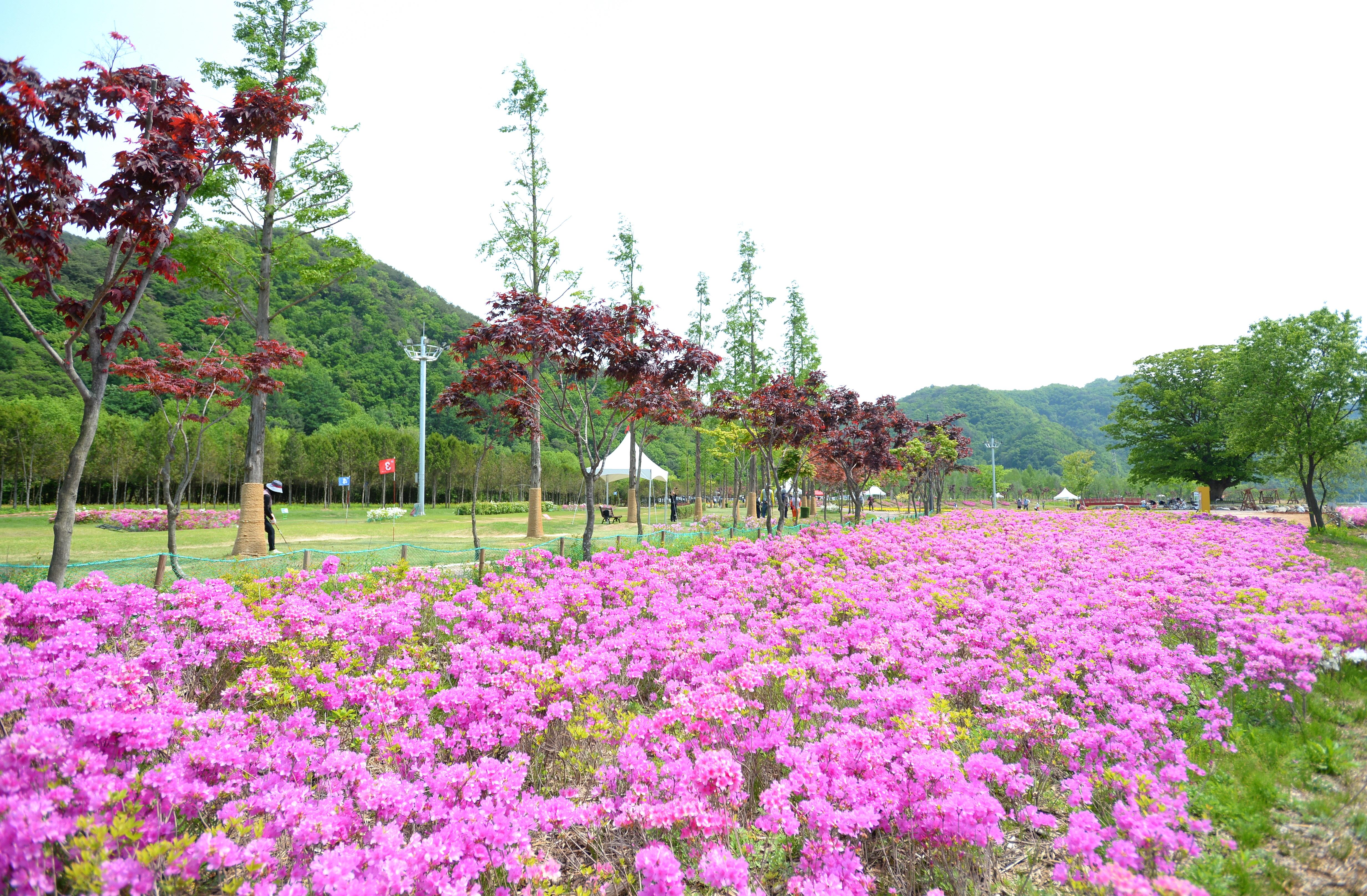 2023 산천어파크골프장 의 사진