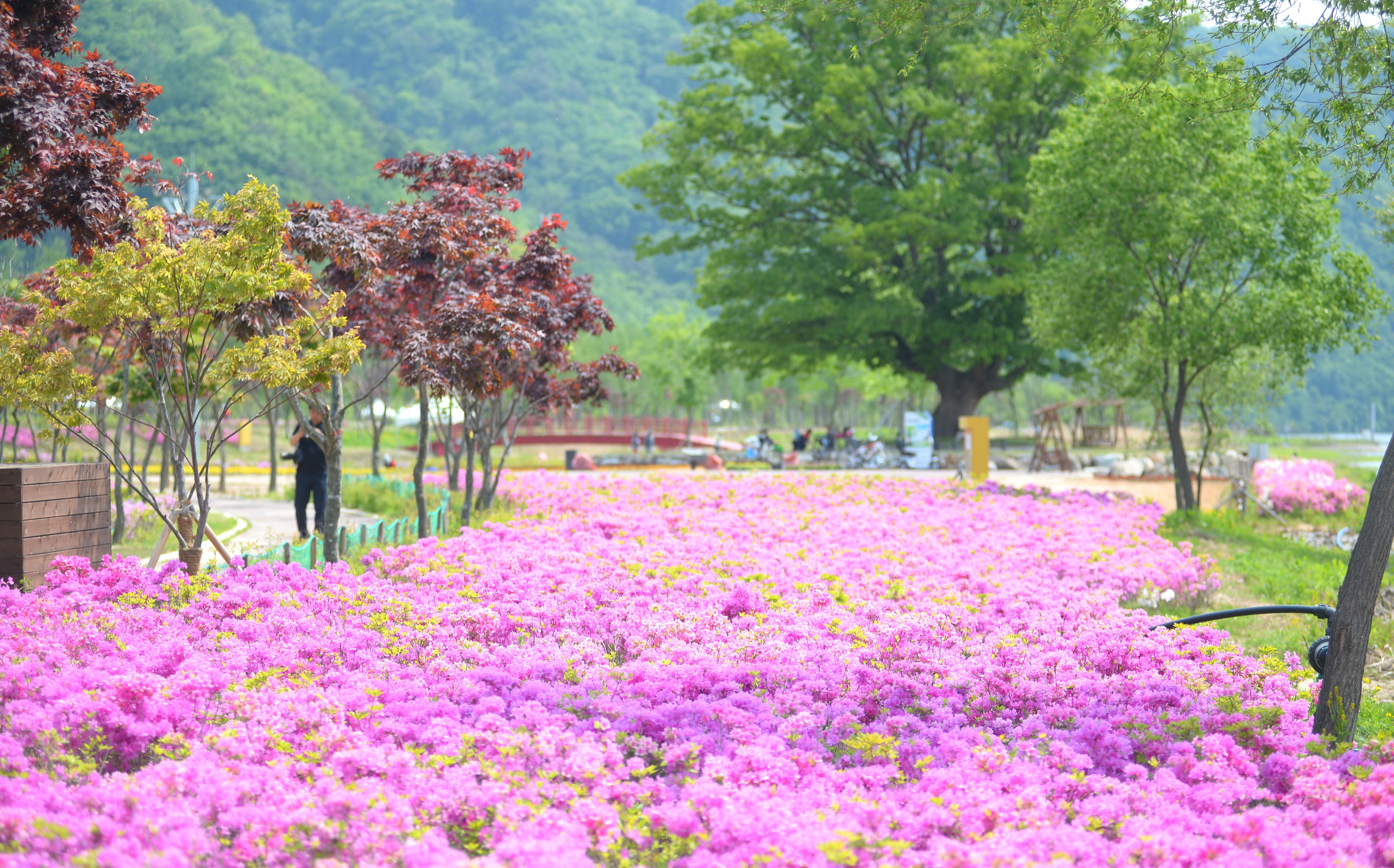 2023 산천어파크골프장 의 사진