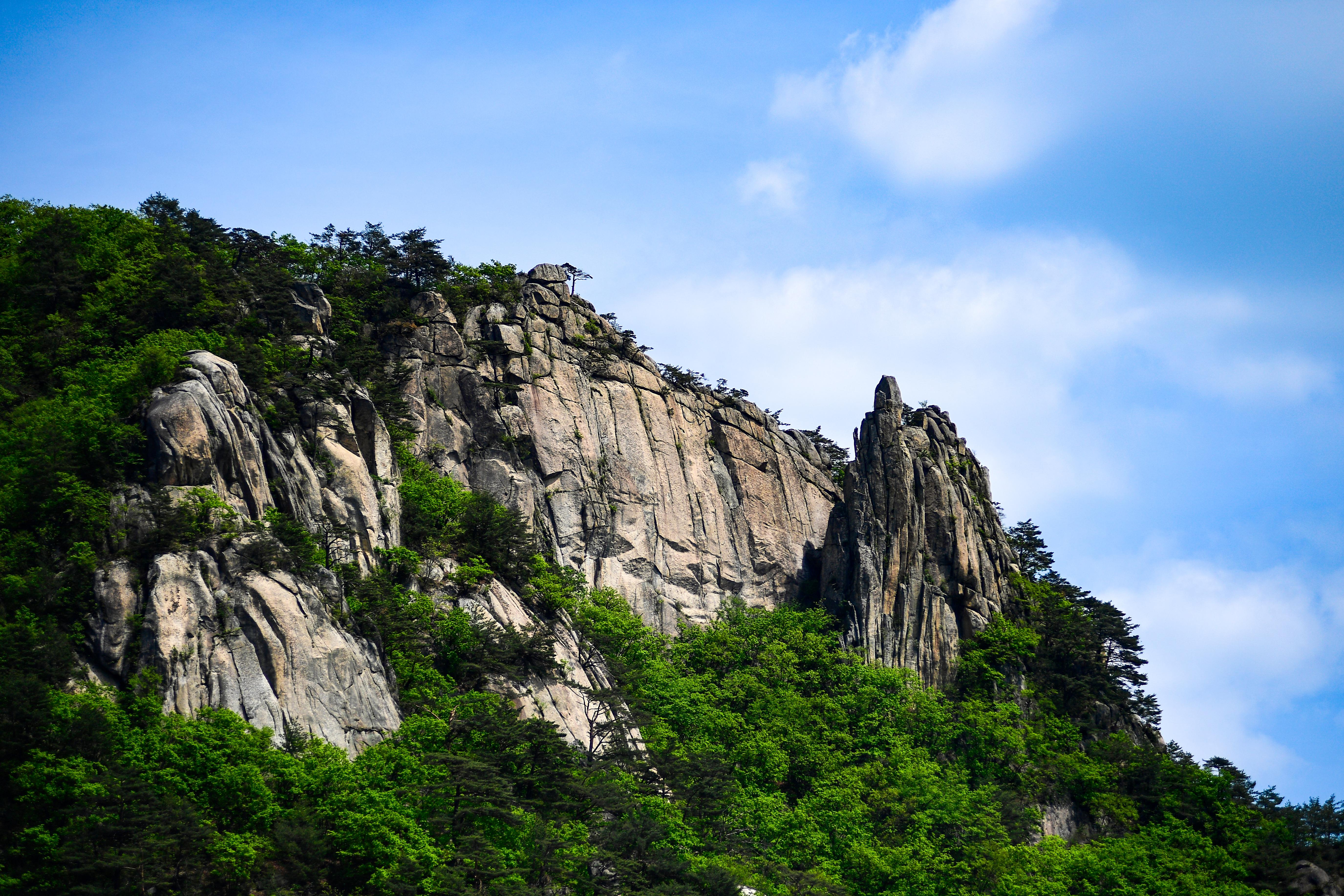 2024 용화산 전경 사진