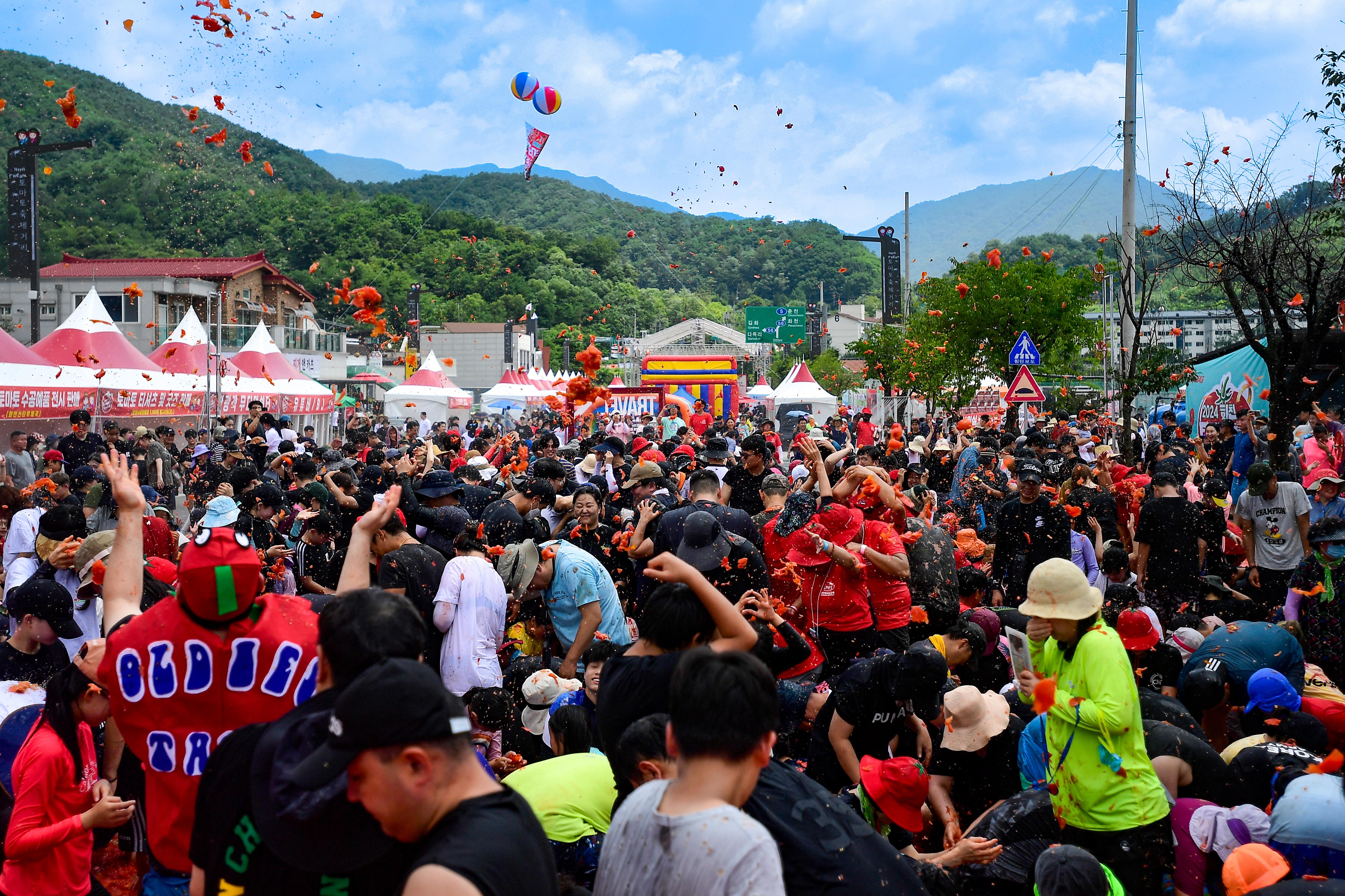 2024 토마토축제 황금반지를찾아라 사진