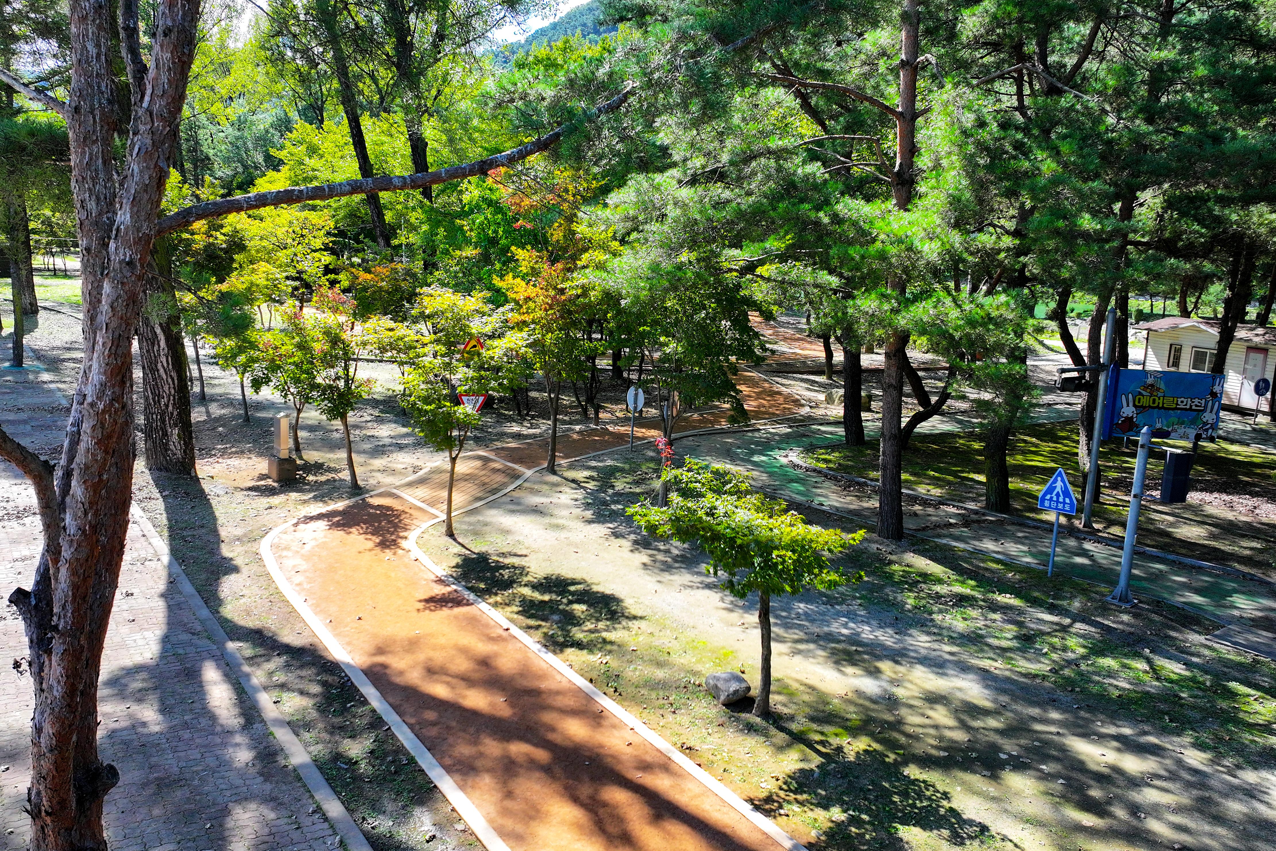 2024 붕어섬 황톳길 전경 의 사진