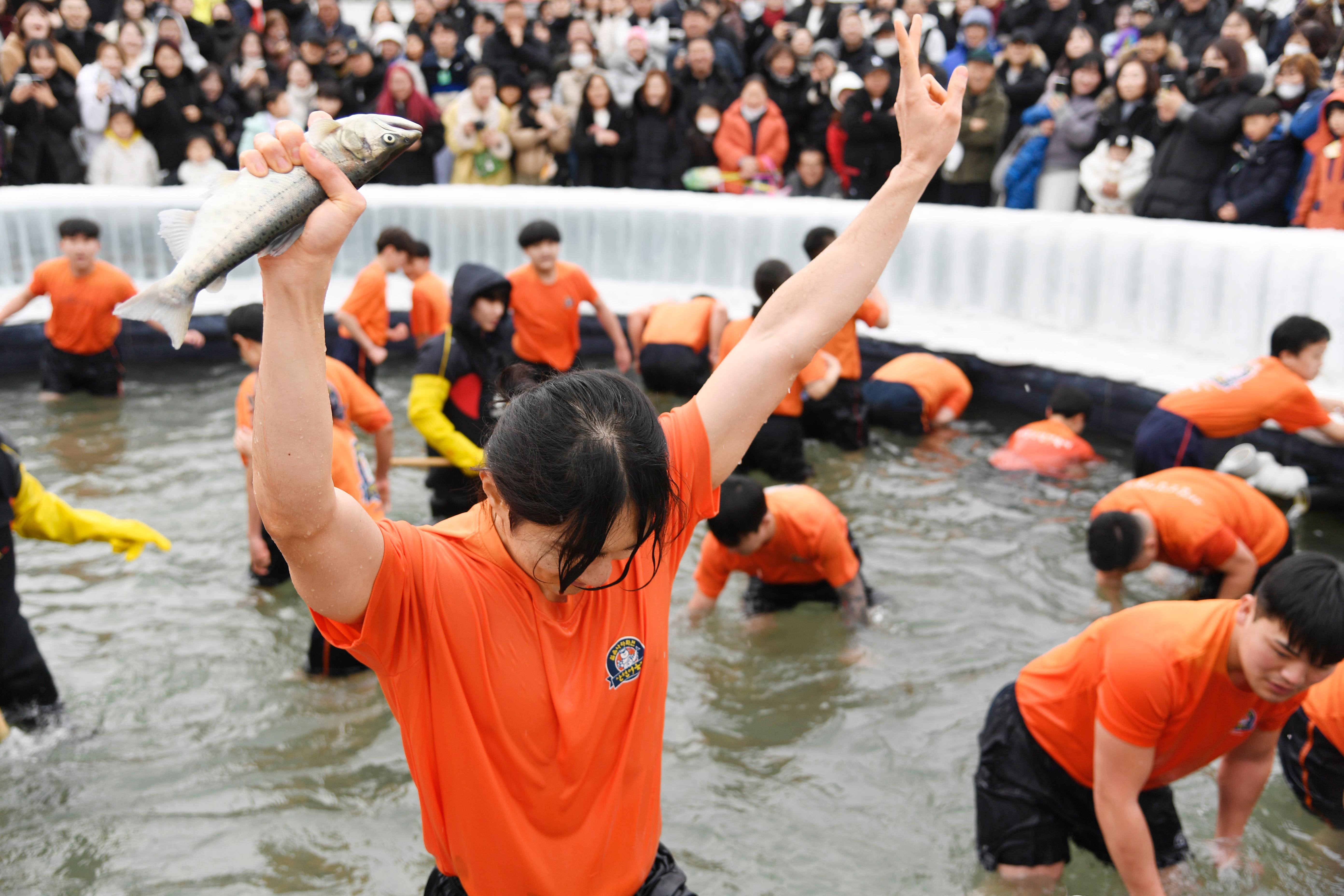 2025화천산천어축제 맨손잡기 의 사진