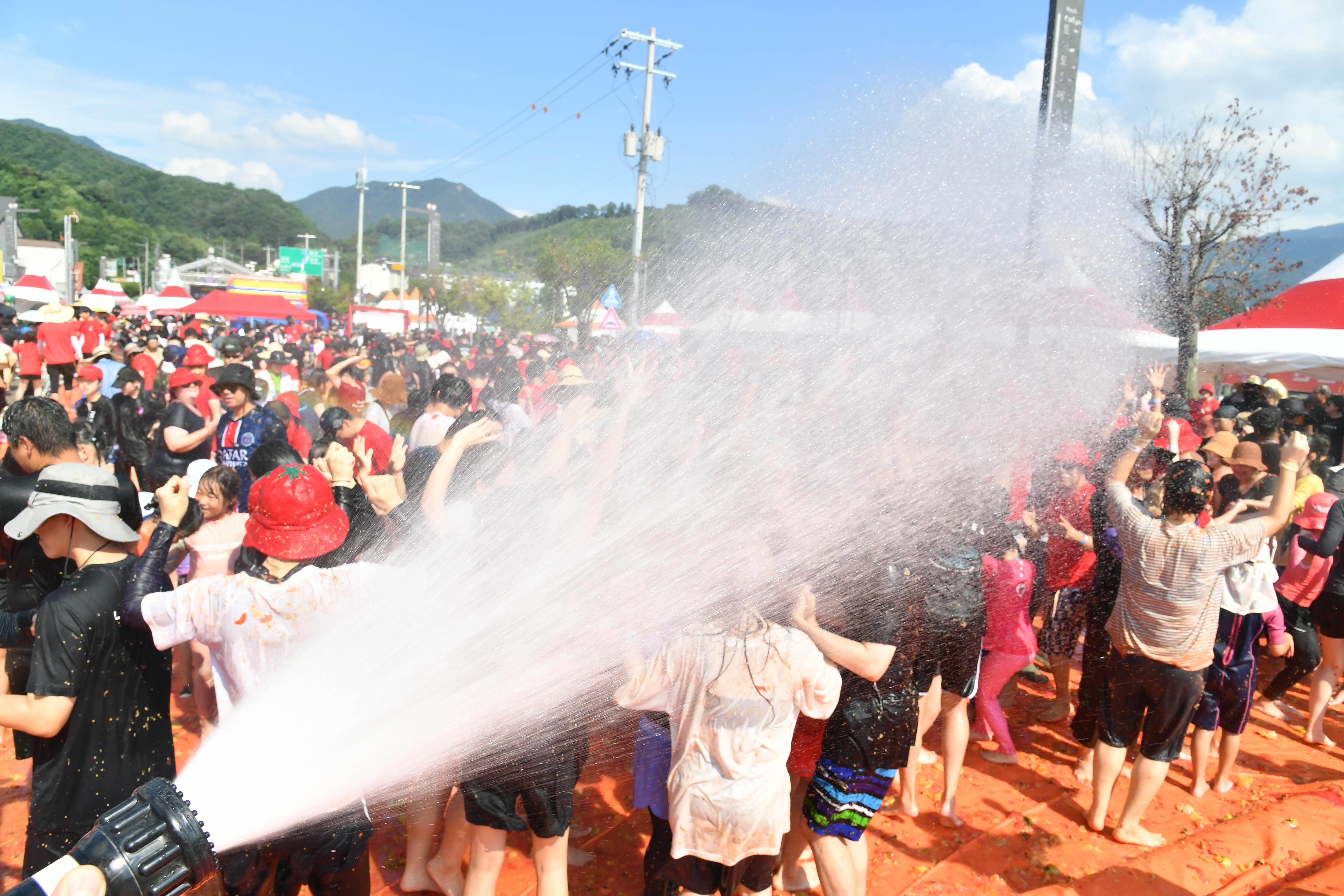 2025화천토마토축제_황금반지를 찾아라 의 사진