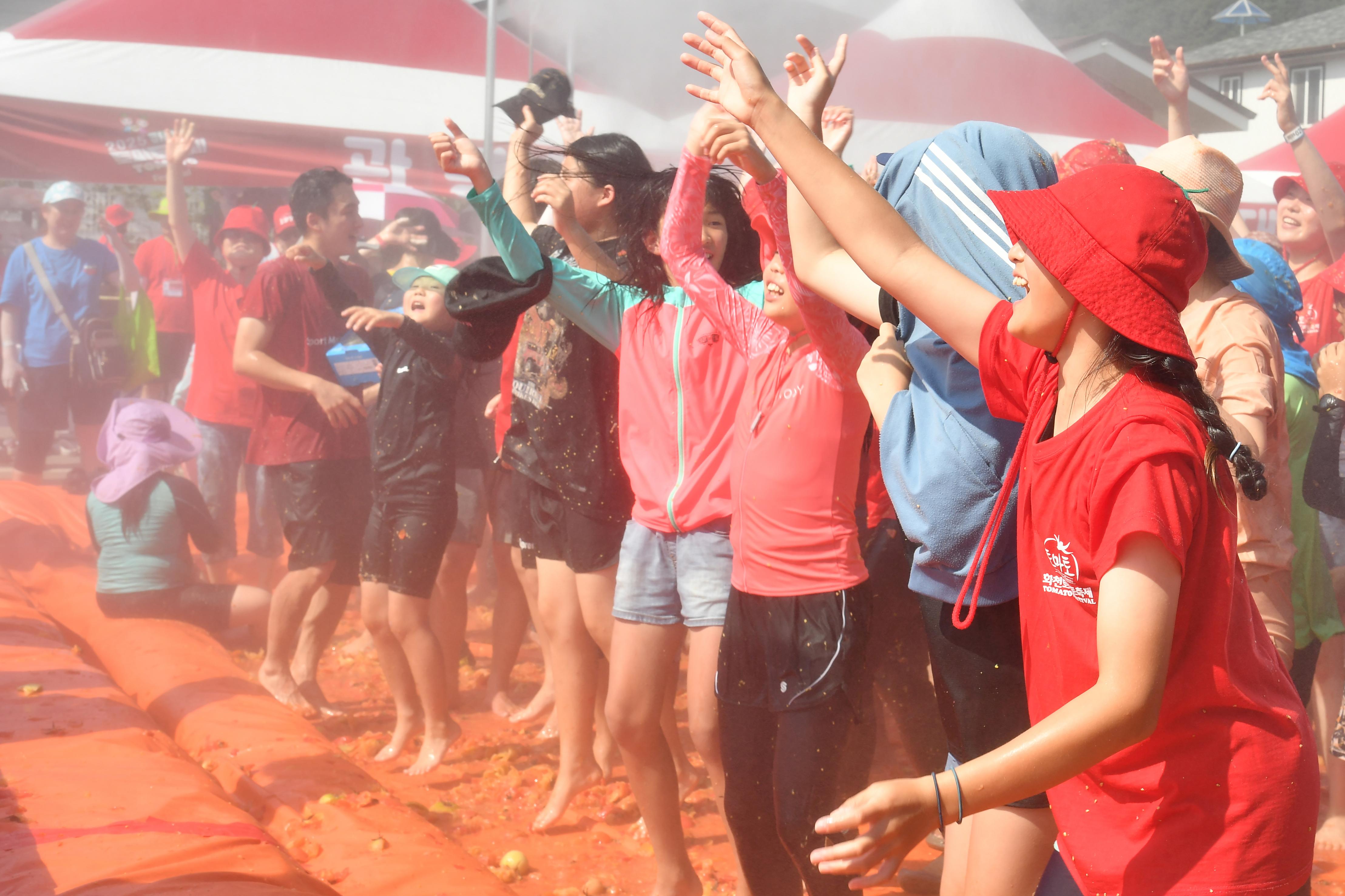 2025화천토마토축제_황금반지를 찾아라 의 사진
