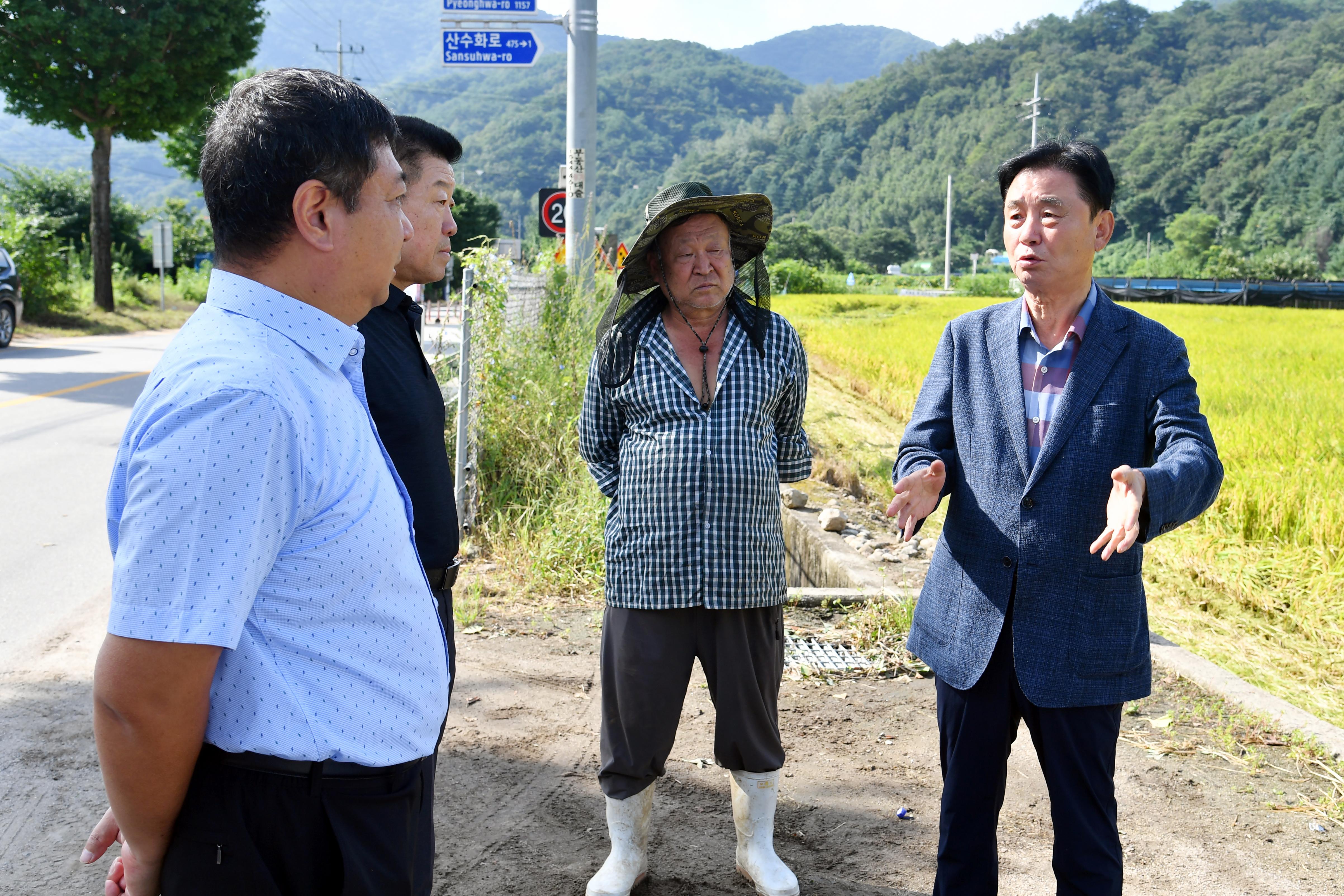2025년 화천군 첫 벼베기 행사 의 사진