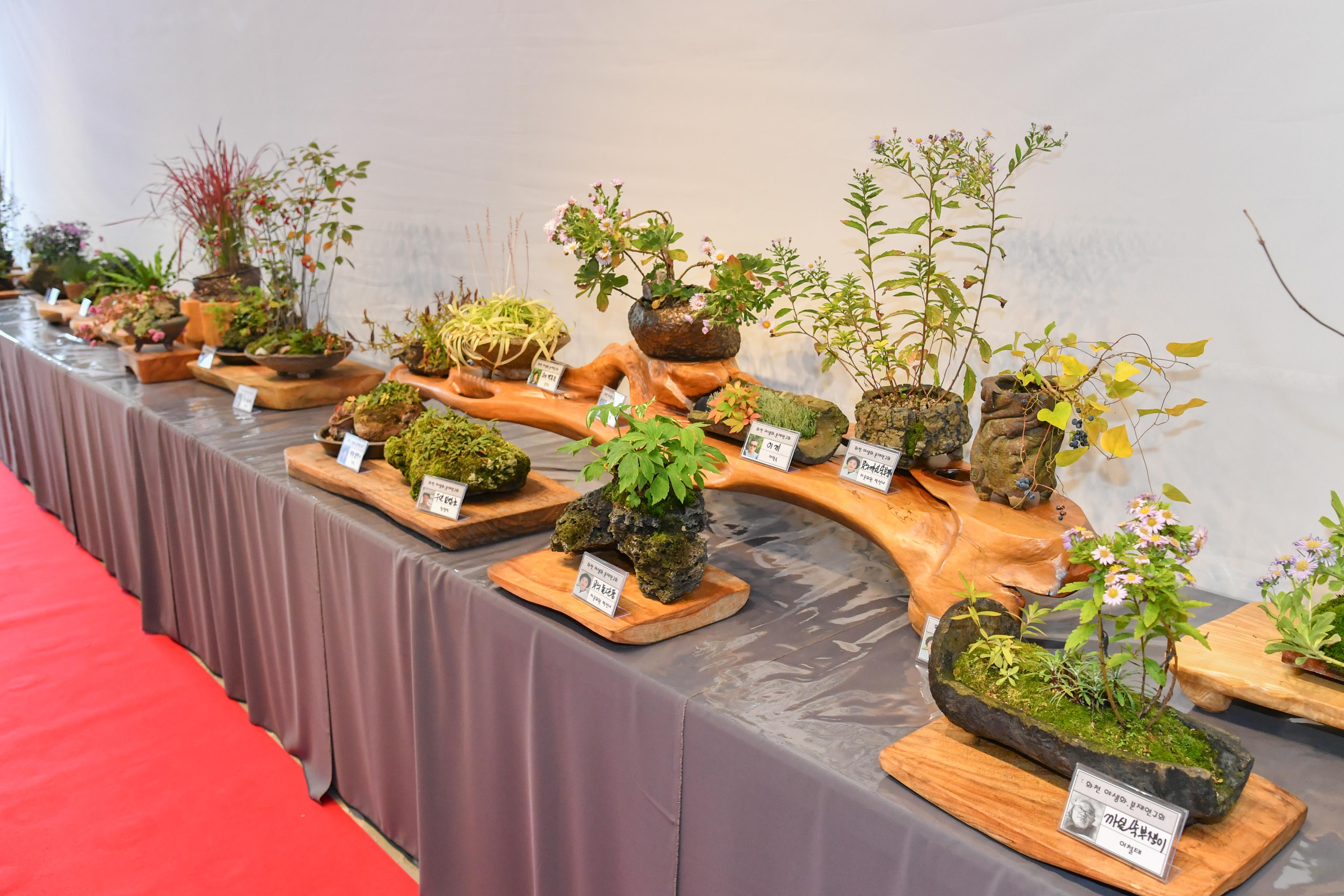 2025 화천군 평생학습축제 전시회 의 사진