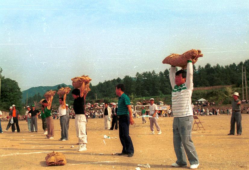 제9회용화축전 의 사진