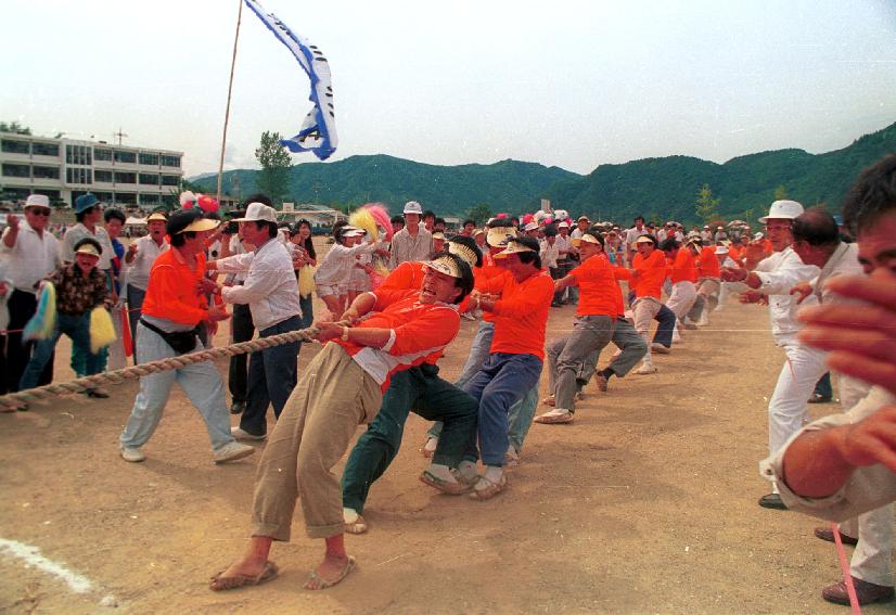 제9회용화축전 의 사진