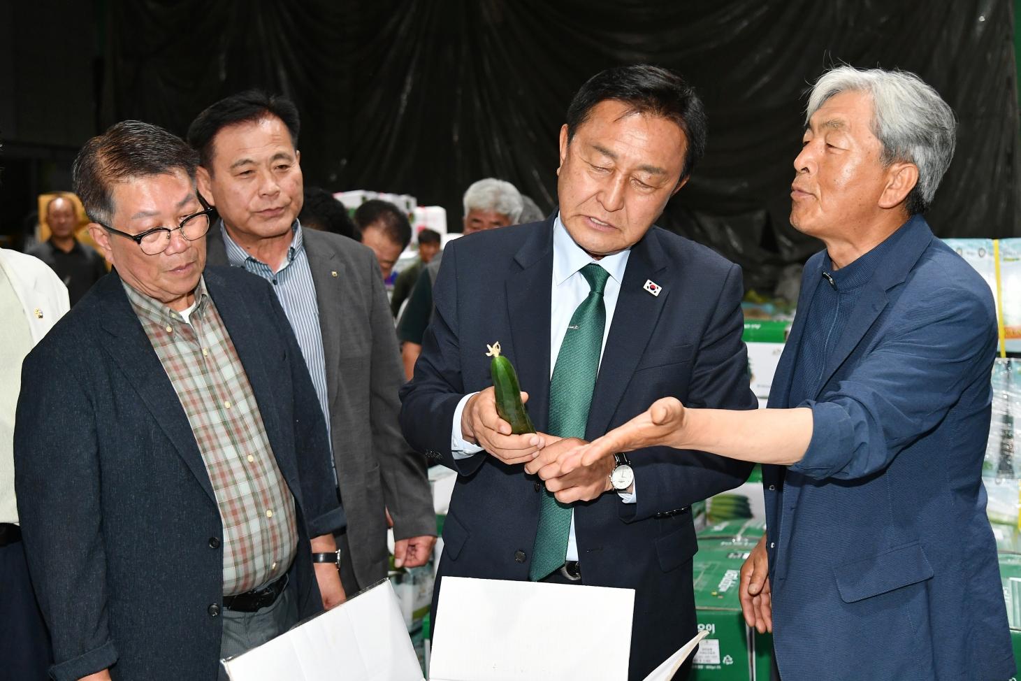 서울 가락동 농산물 도매시장 유통 현황 점검 사진