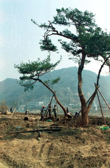 올림픽공원 조성 의 사진