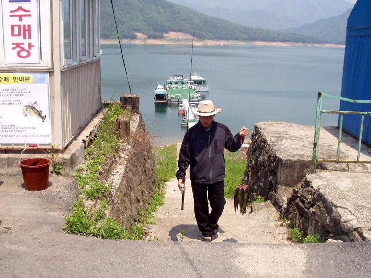 배스수매 의 사진