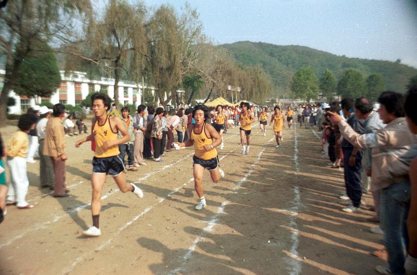 제4회 용화축전 의 사진