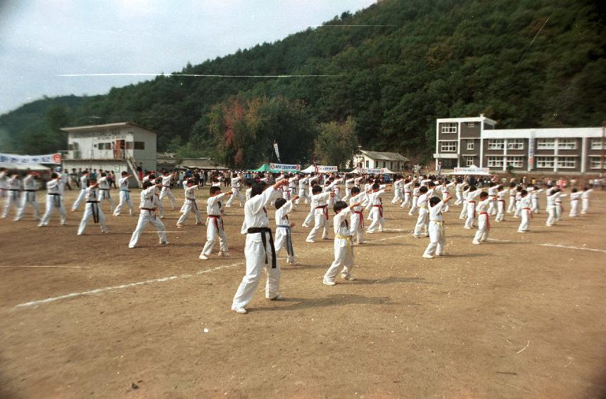 제4회 용화축전 의 사진