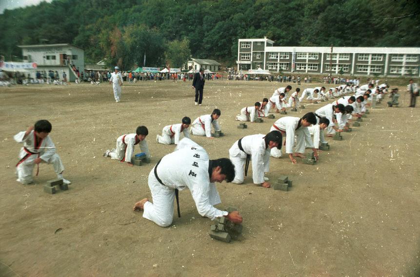 제4회 용화축전 의 사진