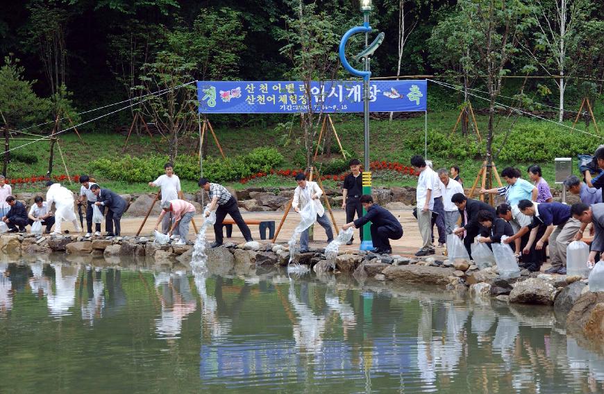 만산동 산천어 체험장 임시개장식 의 사진