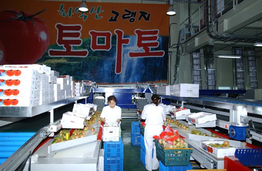 화천 화악산토마토 선별장 준공식 의 사진