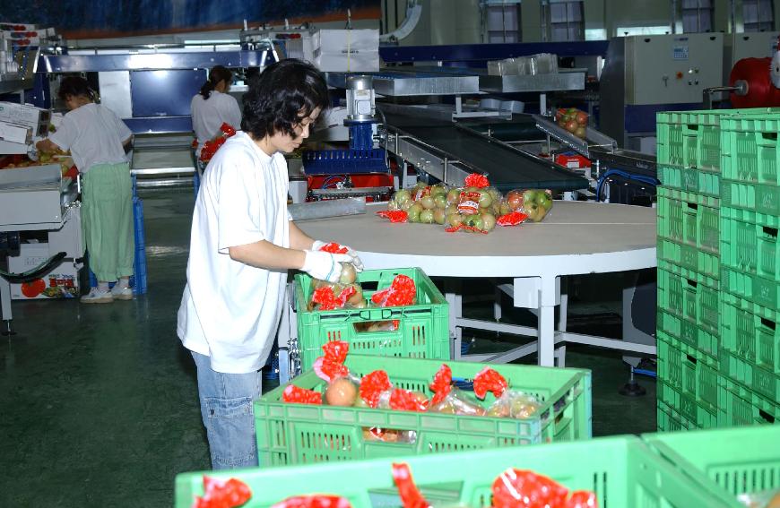 화천 화악산토마토 선별장 준공식 의 사진