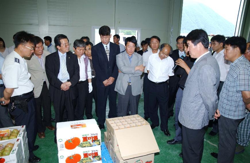 화천 화악산토마토 선별장 준공식 의 사진