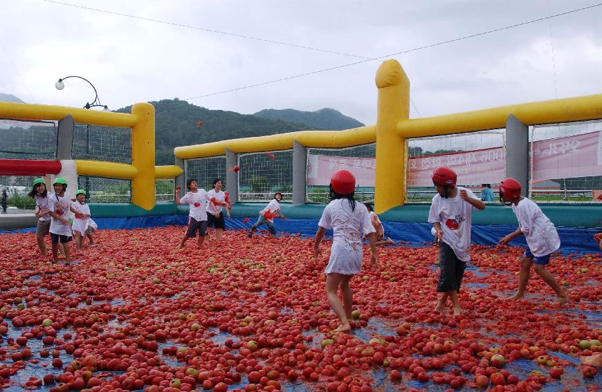 화천 화악산토마토축제  의 사진