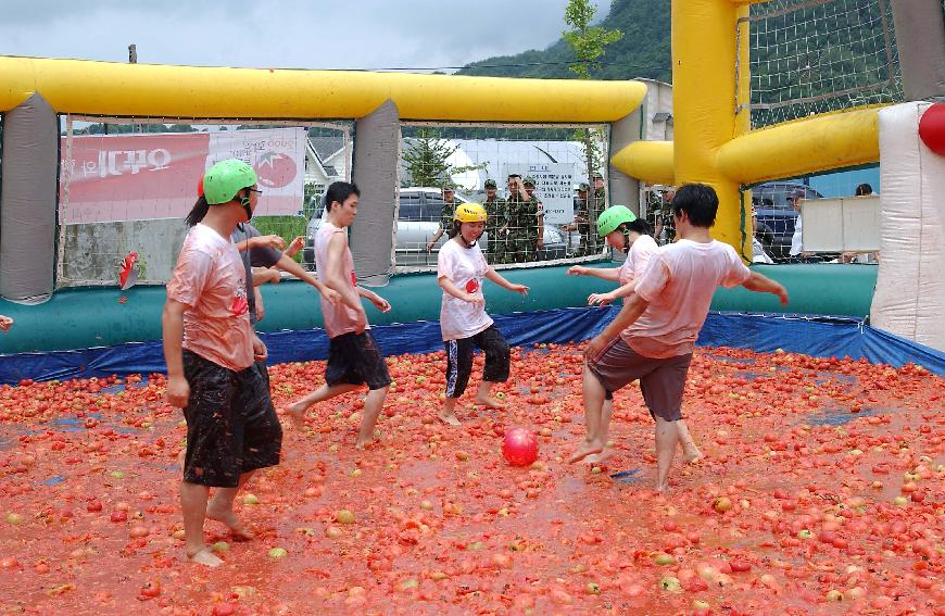 화천 화악산토마토축제  의 사진