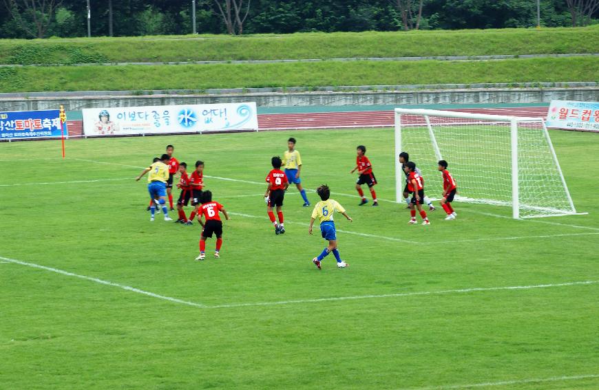 제1회 화천평화페스티벌 초등학교 축구대회 개회식 의 사진