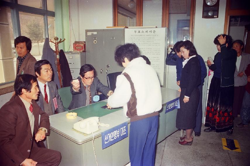 제12대 국회의원 선거 의 사진