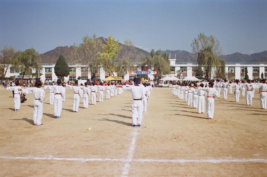 제3회 용화축전 의 사진