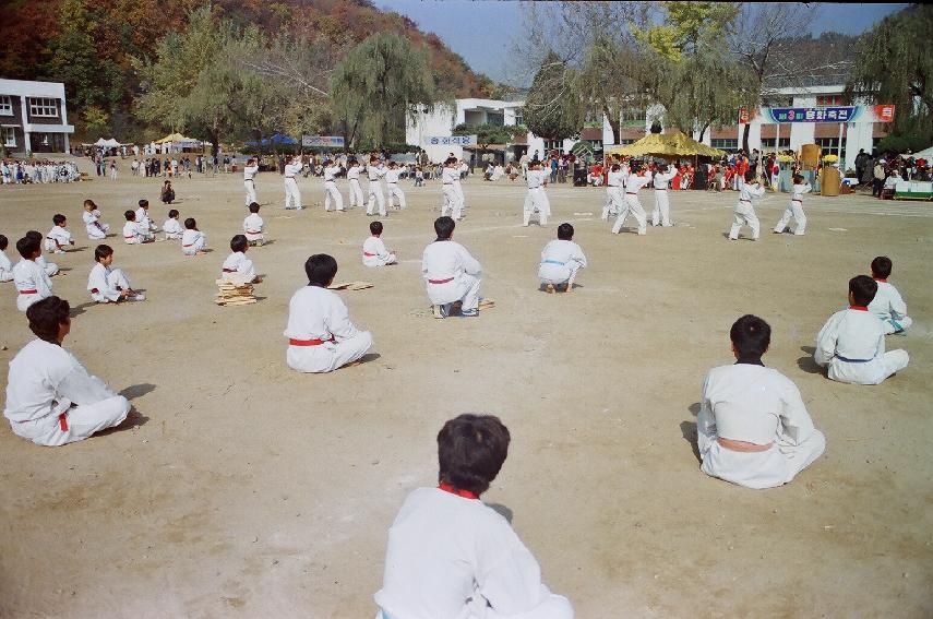 제3회 용화축전 의 사진