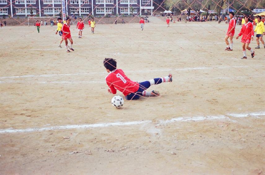 제3회 용화축전 의 사진