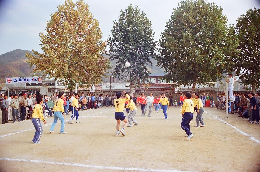 제3회 용화축전 의 사진