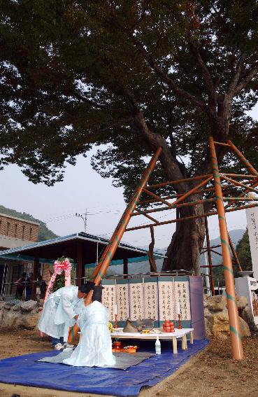 동촌리 마을기원제(호랑이축제) 의 사진