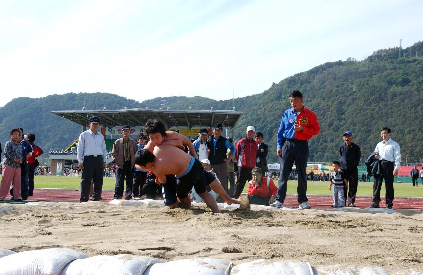 제22회 용화축전행사 의 사진