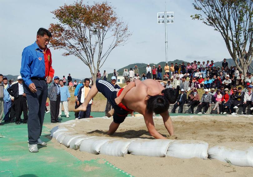 제22회 용화축전행사 의 사진