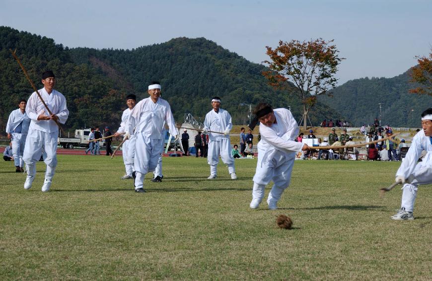 제22회 용화축전행사 의 사진