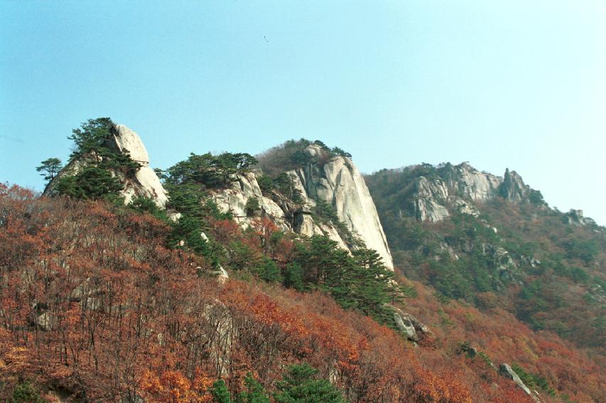 용화산 사진