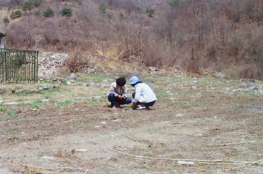 계성사지석등 정비 사진