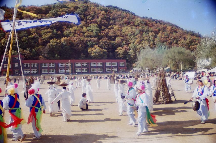 제2회 용화축전 의 사진