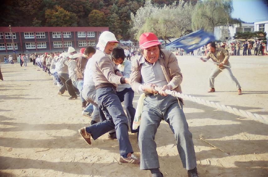 제2회 용화축전 의 사진