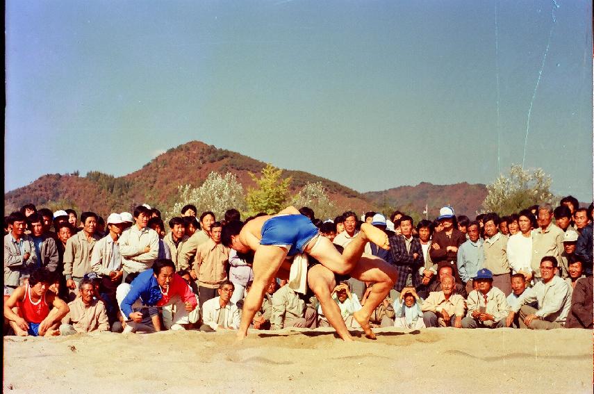 제2회 용화축전 의 사진