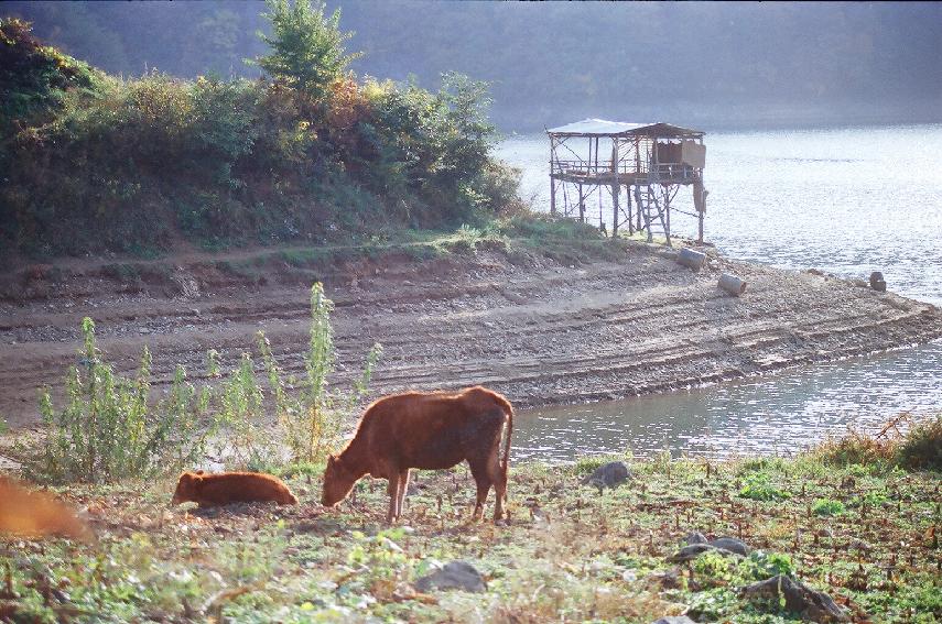 파로호 풍경 의 사진