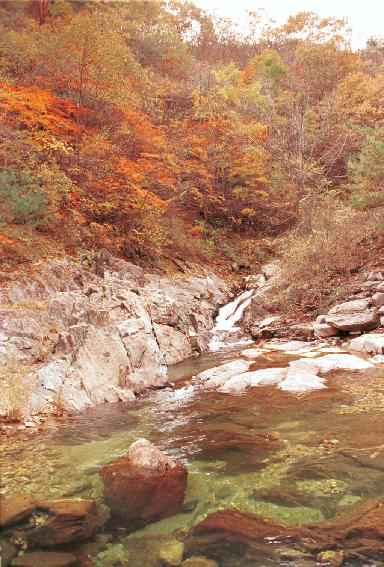 비수구미계곡 사진