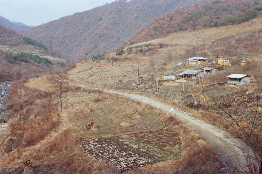 봉오리 밭돌줍기 전.후 의 사진