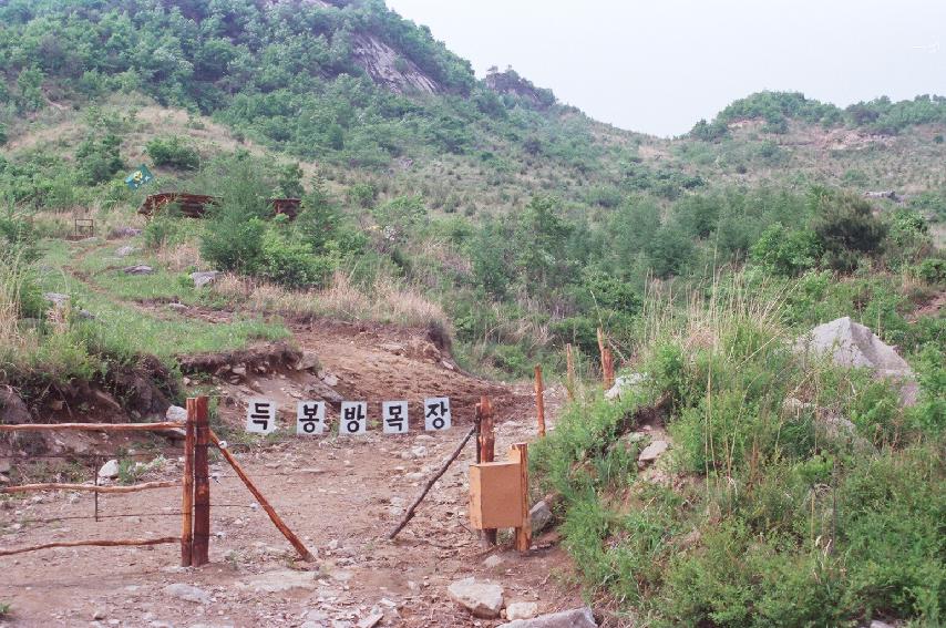 삼일리 방목장 사진