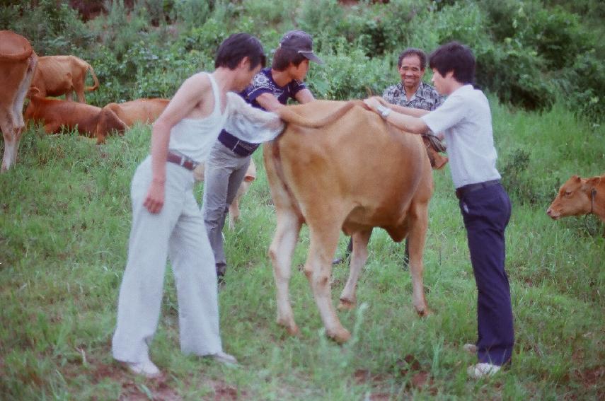 한우방목장 도지사방문 의 사진