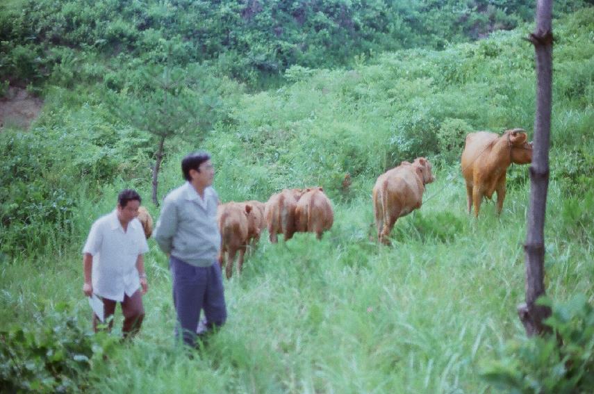 한우방목장 도지사방문 의 사진