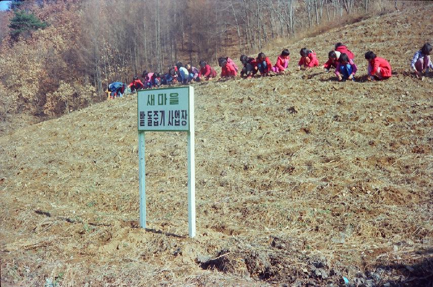 새마을운동 밭돌줍기사업 의 사진